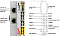 Beckhoff. EtherCAT-копплер для модуля E-Bus (ELxxxx) со встроенным Standard и Safety-I/O: - EK1914 Beckhoff